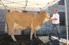 st amans 2011 ulote